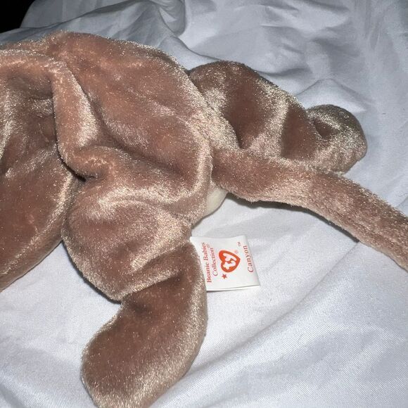 TY Original Beanie Baby "Canyon” - Picture 6 of 10